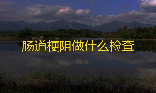 网络被劫持了怎么修复肠道梗阻做什么检查